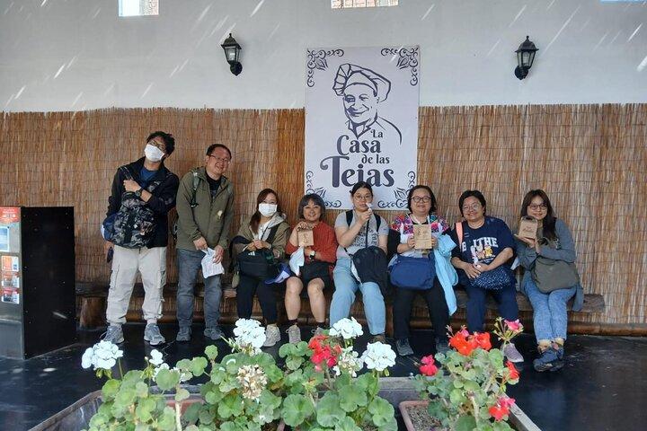 Van Paracas: Full Day Ica