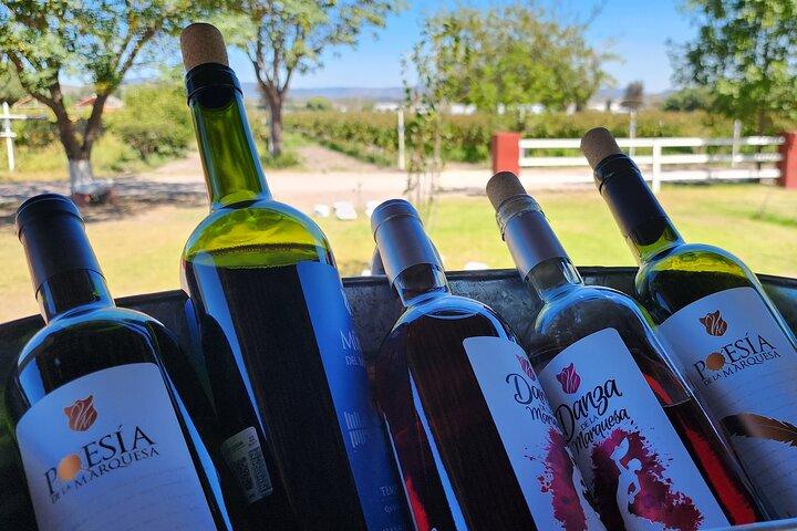 Querétaro-Weinroute und magische Städte