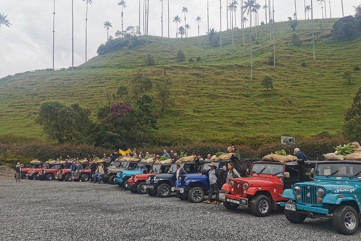 Tour privado Vale Cocora, Salento, Filandia e Café
