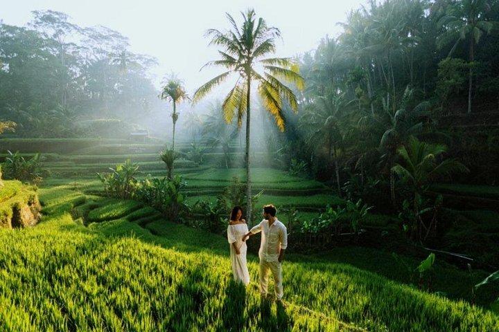 Guida turistica privata - Tempio e cascata di Ubud Rice Terraces