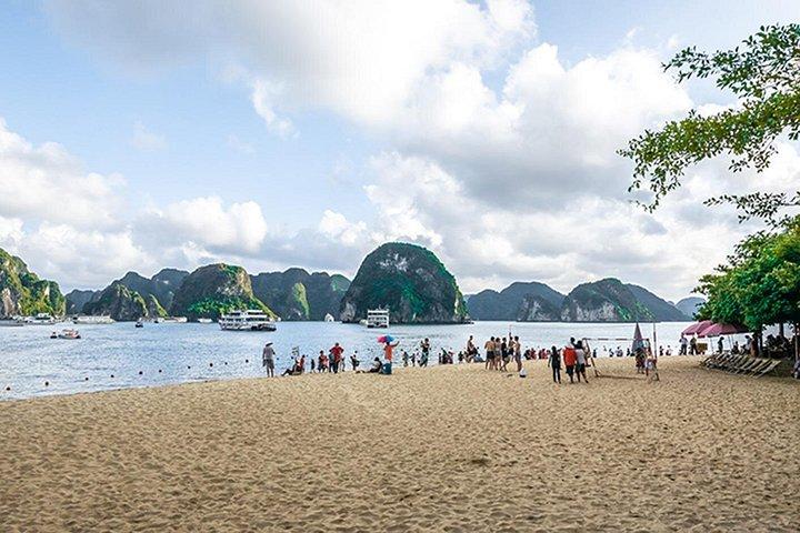 ビナプレミアムクルーズ洗練されたハロン湾日帰りツアー