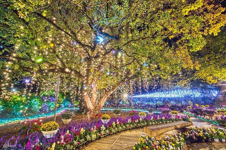 2 - 東京からの日帰り日光プライベートツアー：ラグジュアリーバン（カスタマイズ可能）