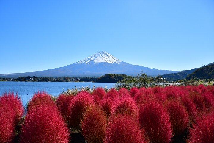 Mt.Fuji,Arakurayama, Fujimichi,Oishi Park, Lake Kawaguchiko Tour