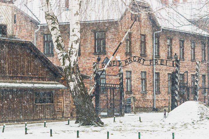 Visita guiada al monumento y museo de Auschwitz-Birkenau desde Cracovia