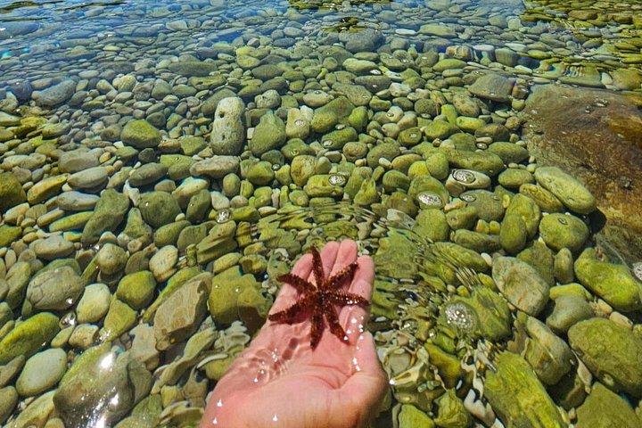 青の洞窟&フバール、日陰の豪華な座席のある5島スピードボート