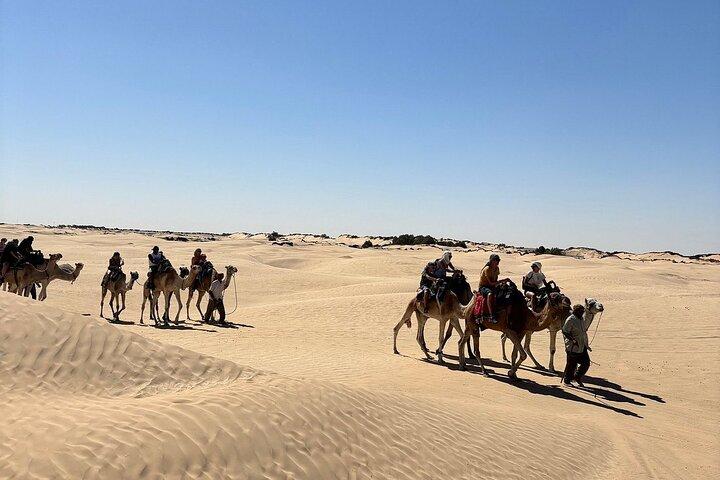 Excursion Privée d'Une Journée en 4*4 a Ksar Ghilane