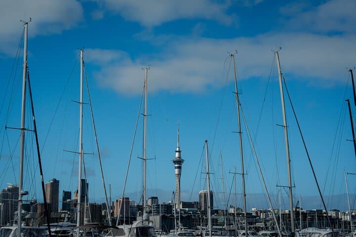 Half-day Discover Auckland City Sightseeing Tour