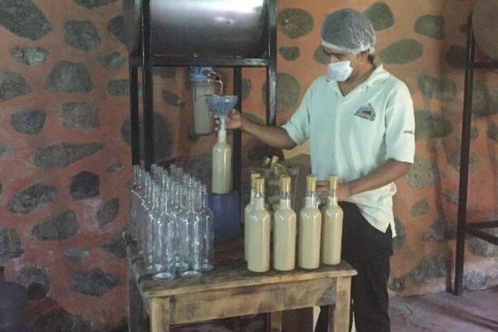 Puerto Vallarta und Tequila Verkostung entdecken
