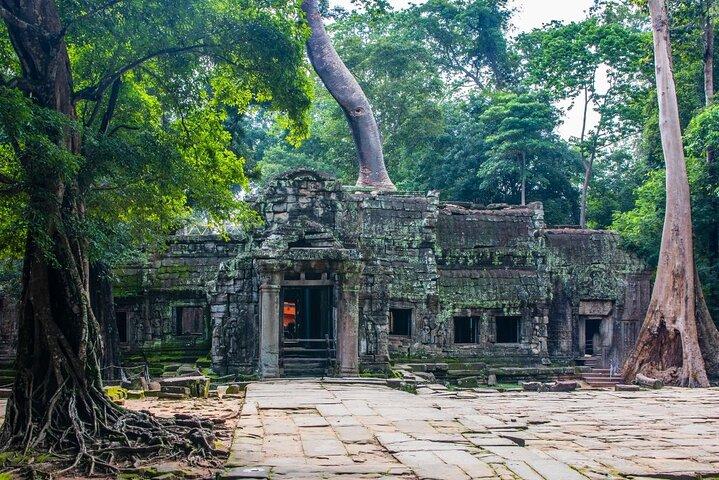 Angkor Wat Sunrise Small Group Tour with Expert Guide