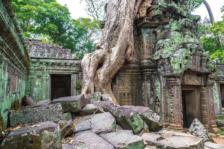 Angkor Wat Sunrise Small Group Tour with Expert Guide