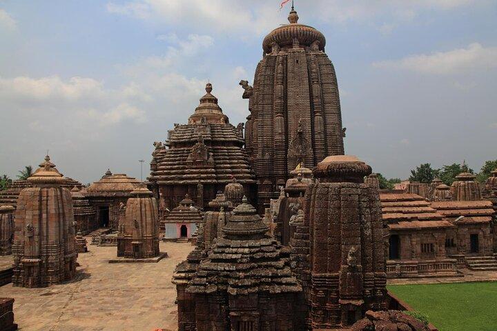 Bhubaneshwar a Calcutta attraverso la foresta di mangrovie e la riserva di tigri