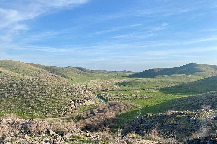 タンバリーの古代岩面彫刻 - ユネスコ世界遺産