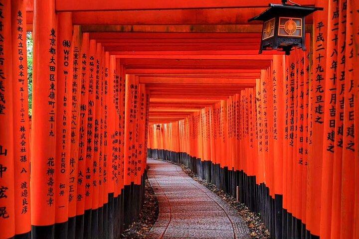 Excursión panorámica de un día a Kioto Fushimi Inari Arashiyama y templos