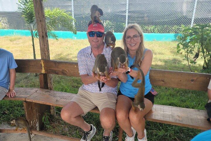 Monkey Home & Puerto Plata City Tour