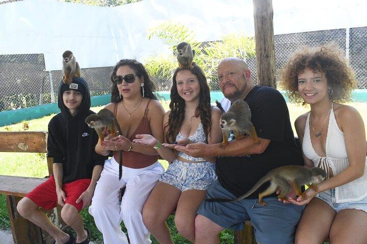 Monkey Home & Puerto Plata City Tour