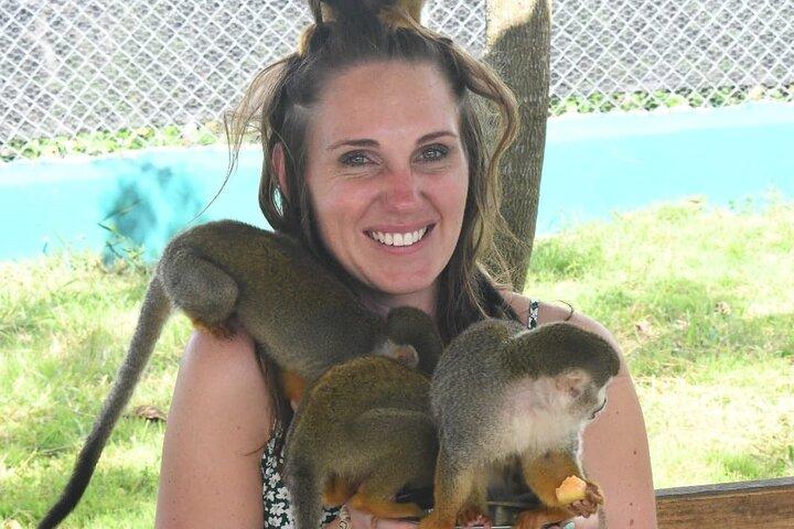 Monkey Home & Puerto Plata City Tour