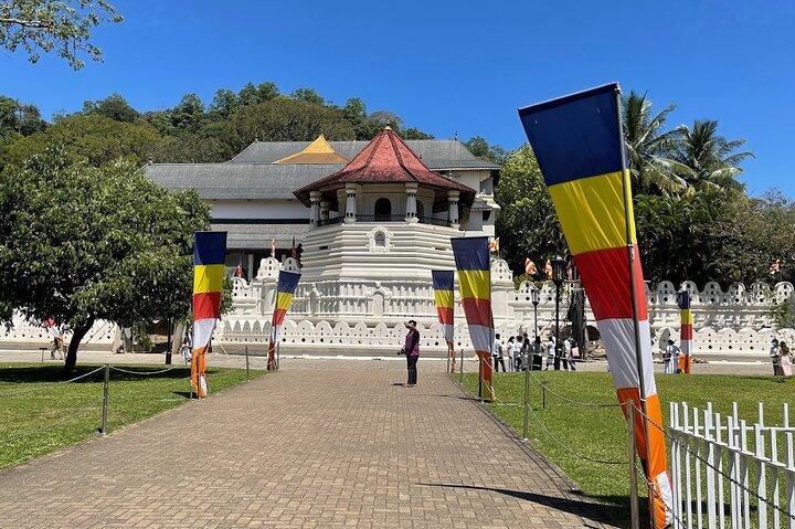 Kandy Heldagstur från Colombo och Negombo och CMB flygplats