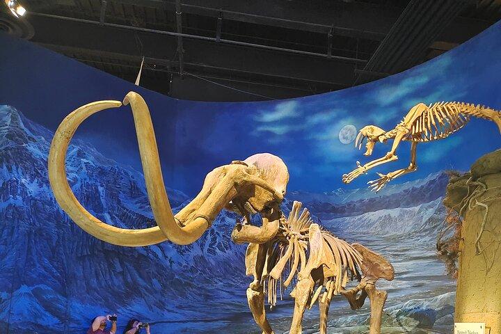 Visite des Badlands : Drumheller avec Musée, Hoodoos & Dinosaurs