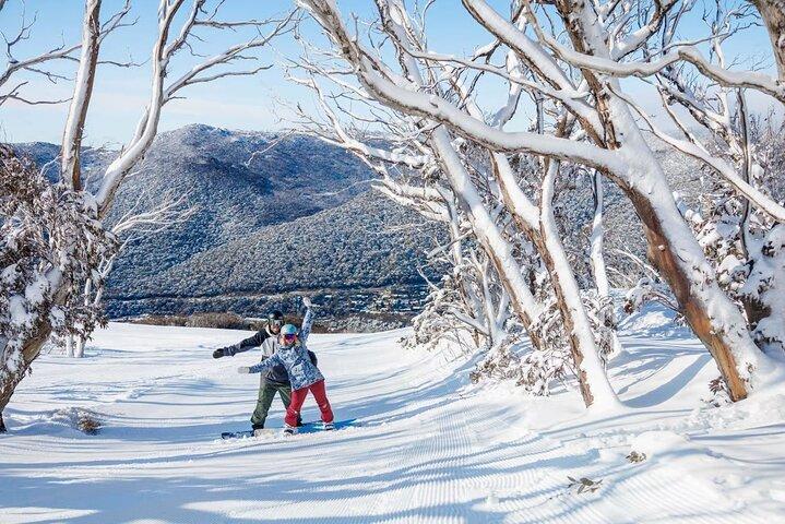 Dagstur til Snowy Mountains fra Sydney