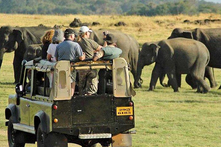 Yala Nationaal Park Leopard Safari Wildlife Privéavontuur