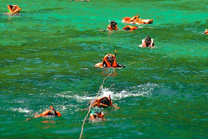 プーケット発ロイヤルジェットクルーザーによるピピ島日帰りツアー