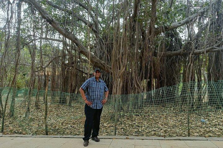 Fort, Palaces, Temples & Beach