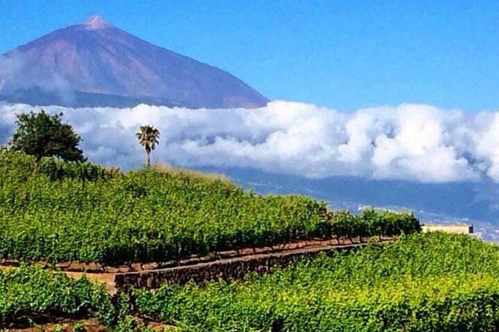 Parc national du Teide avec visite des vignobles de Tenerife