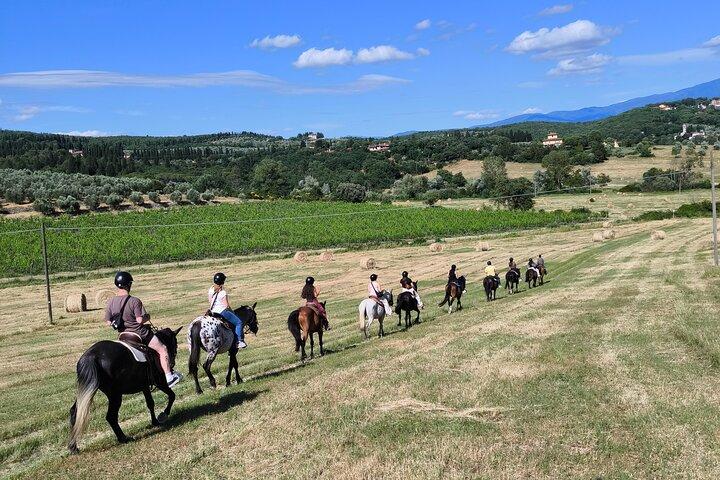 Paseos a caballo por los viñedos