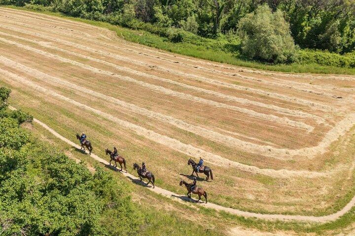 Paseos a caballo por los viñedos