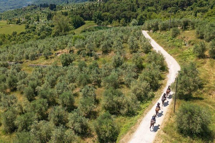 Paseos a caballo por los viñedos