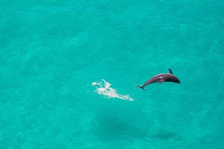 Zanzibar Full Day Privétour met Sunset Beach & Seafood BBQ
