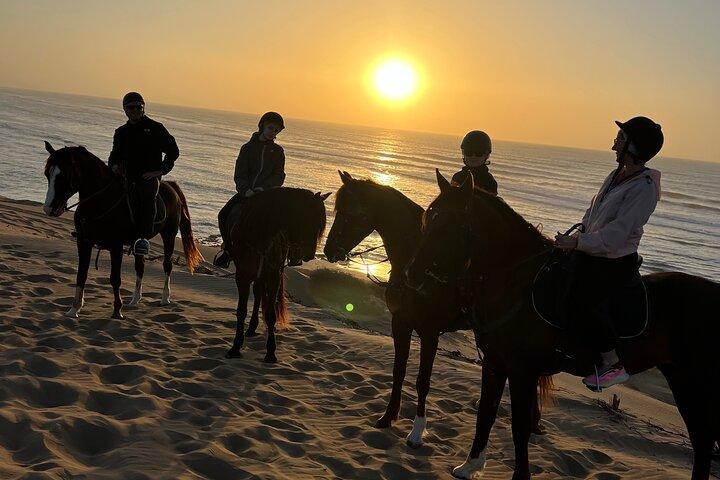 2 timmars ridning galopp i Essaouira Beach, sanddyner och skog