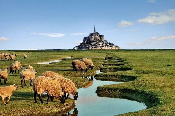 Privat dagstur til Mont-Saint-Michel og Rouen fra Paris