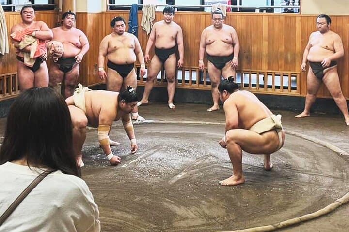 Tokyo: Sumo Morning Practice Viewing Tour at a Real Stable
