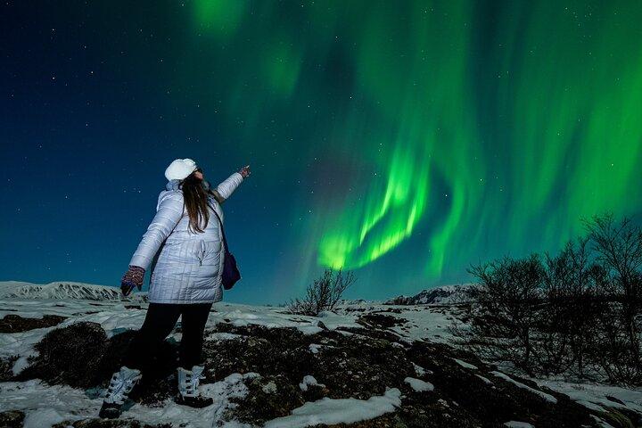 Tour privato dell'aurora boreale con foto, costumi da neve e snack