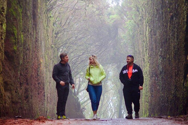 Wanderung zu den verborgenen Schätzen von Anaga. Kostenlose Abholung.