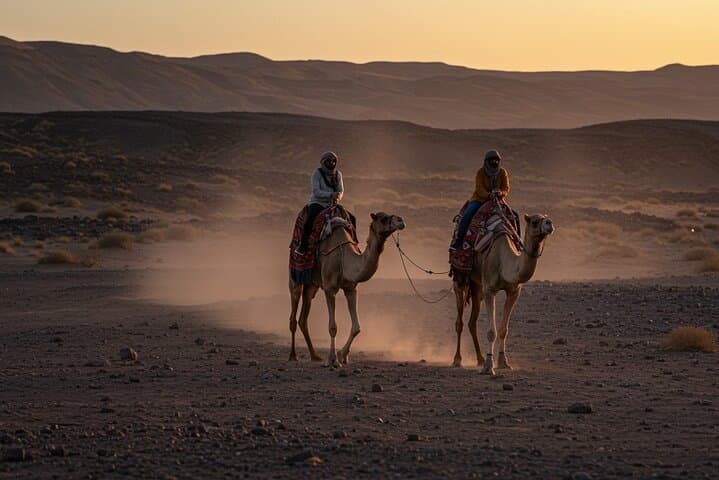 Marrakech: Agafay Desert Quad Bike & Camel Rides with Dinner Show