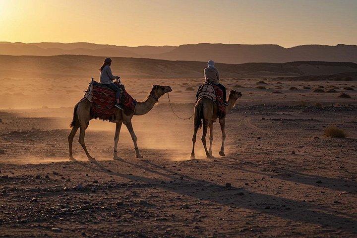 Marrakech : Agafay Desert Quad & Camel Rides met dinershow