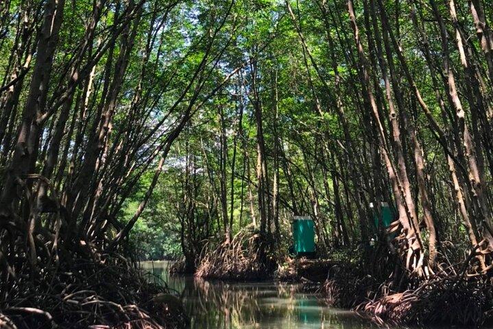 Seværdigheder i nærheden af Can Gio Mangrove Biosphere