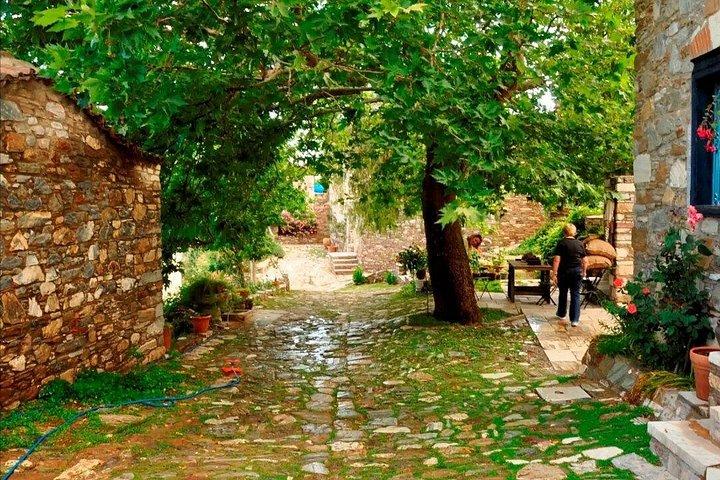 Aegean Dream : Travel to Priene, Pamukkale, Laodicea, Ephesus