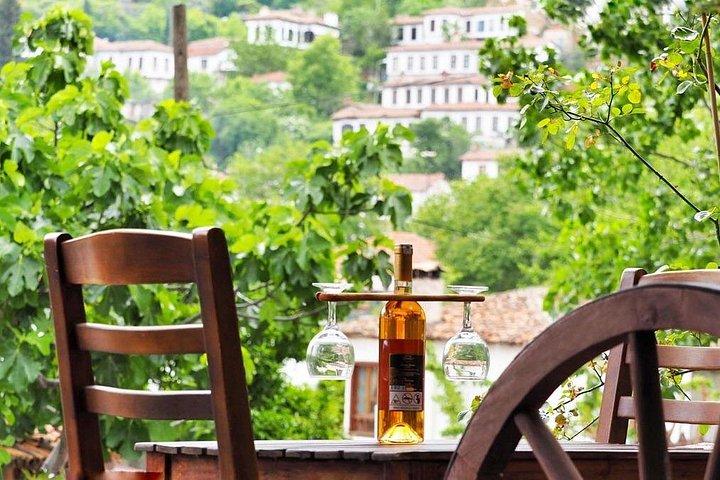 Aegean Dream : Travel to Priene, Pamukkale, Laodicea, Ephesus