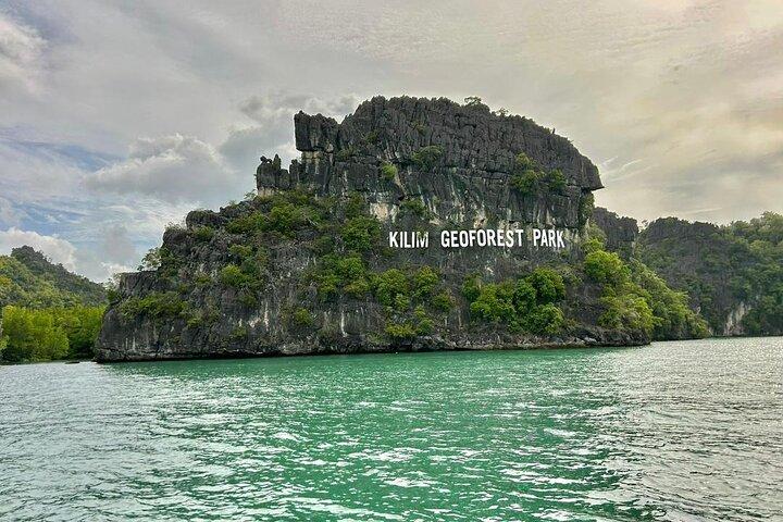 Excursion en bateau de 3 heures dans les mangroves à Langkawi