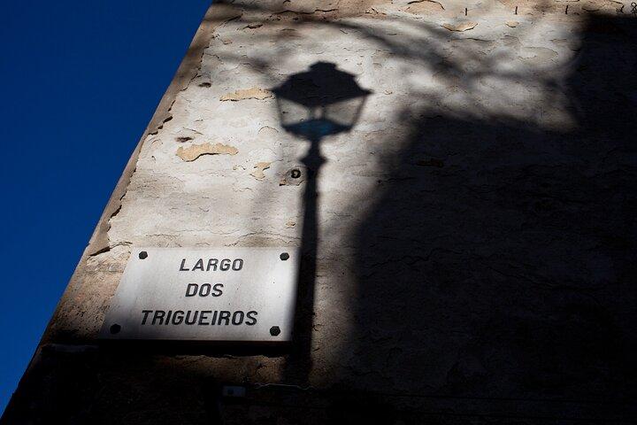 Fado : A Story of Thugs, Harlots and Poets - Private Walking Tour （ファド：暴漢、ハーロット、詩人の物語 - プライベートウォーキングツアー）