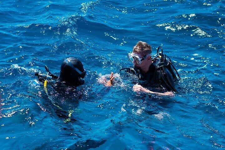 Avanceret PADI dykning med frokost og transfer inkluderet / Hurghada