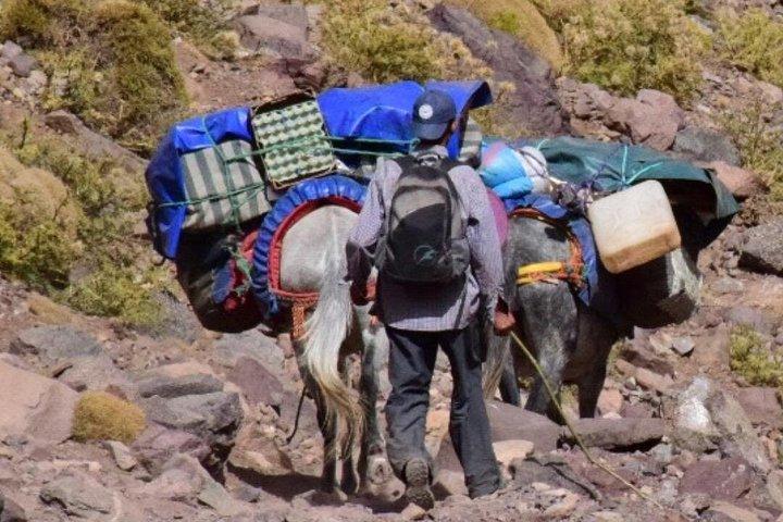 トゥブカル山の冒険 : 2 - マラケシュからの日帰りプライベートトレッキング