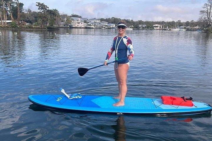 Paddleboard Rental Crystal River Three Sisters Springs