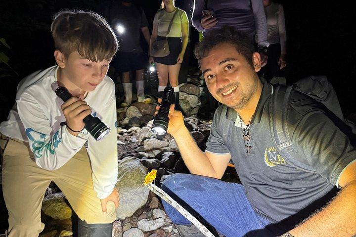 Visite nocturne et dîner dans la jungle à Jaco