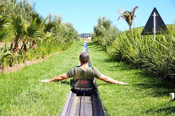 Cool Runnings Toboggan Adventure in Cape Town (Hotel pickup incl)