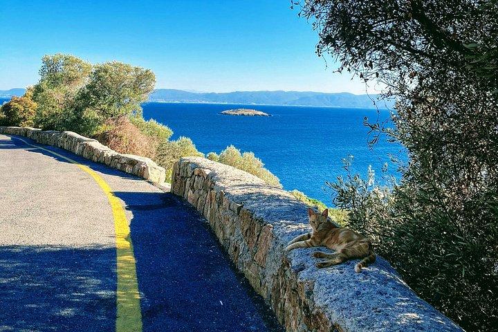 Enjoy Cycling in Büyükada: Freedom & Exploration