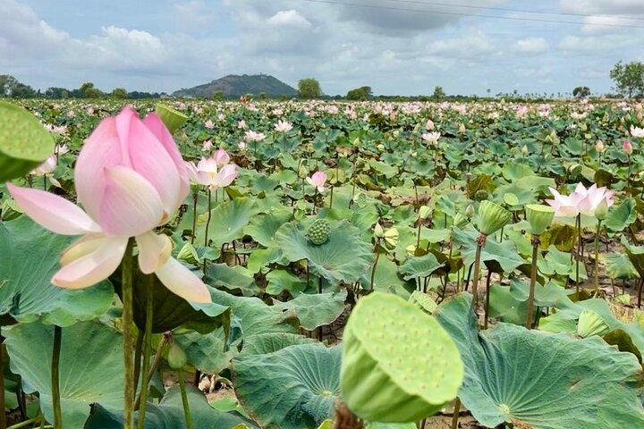 Rural Countryside Experience Tour in Siem Reap